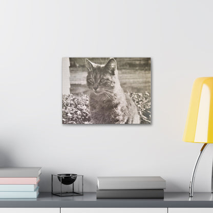 Caledonia Canvas Gallery Wraps 16″ x 12″ 1.25"