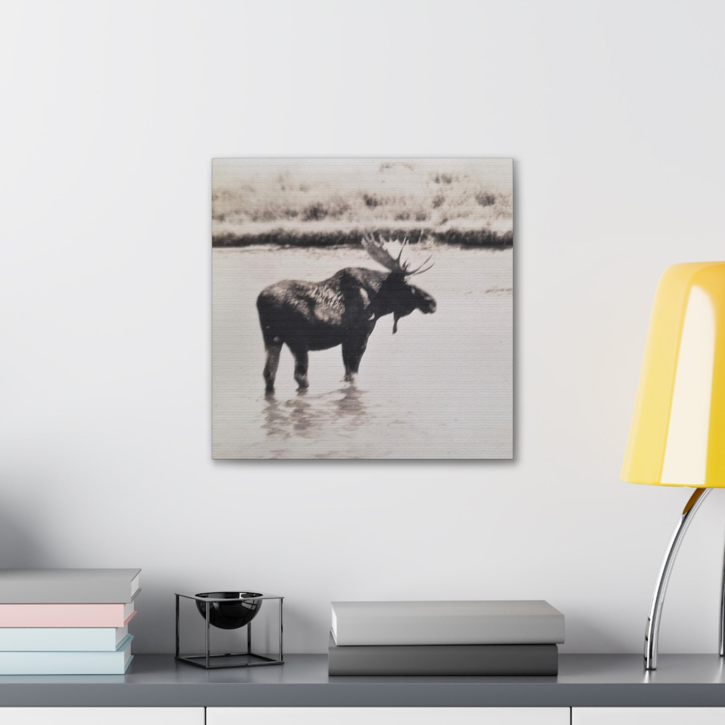 Yellowstone Bull Moose Canvas Gallery Wraps