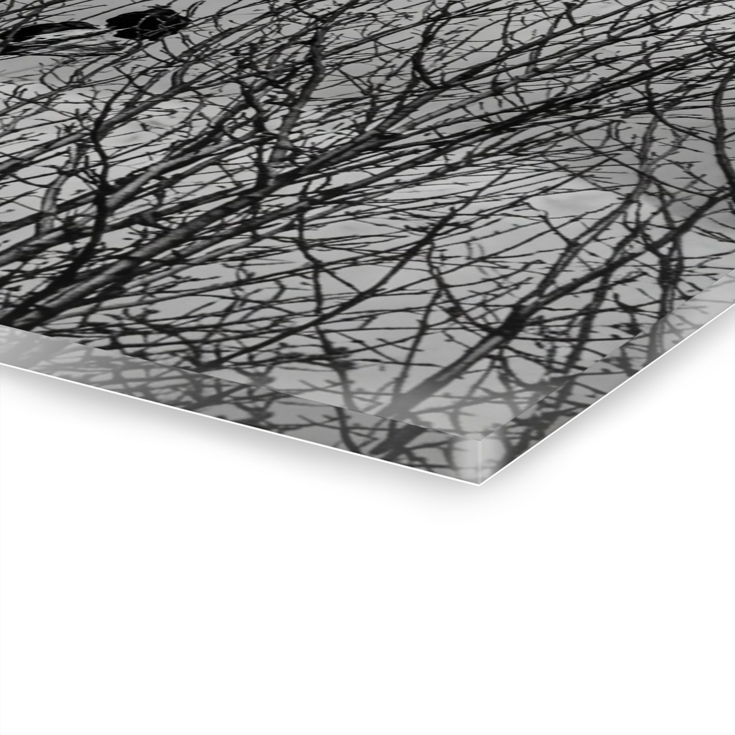 Black & White Buzzards in Winter Trees French Cleat Hanging - - Home Decor