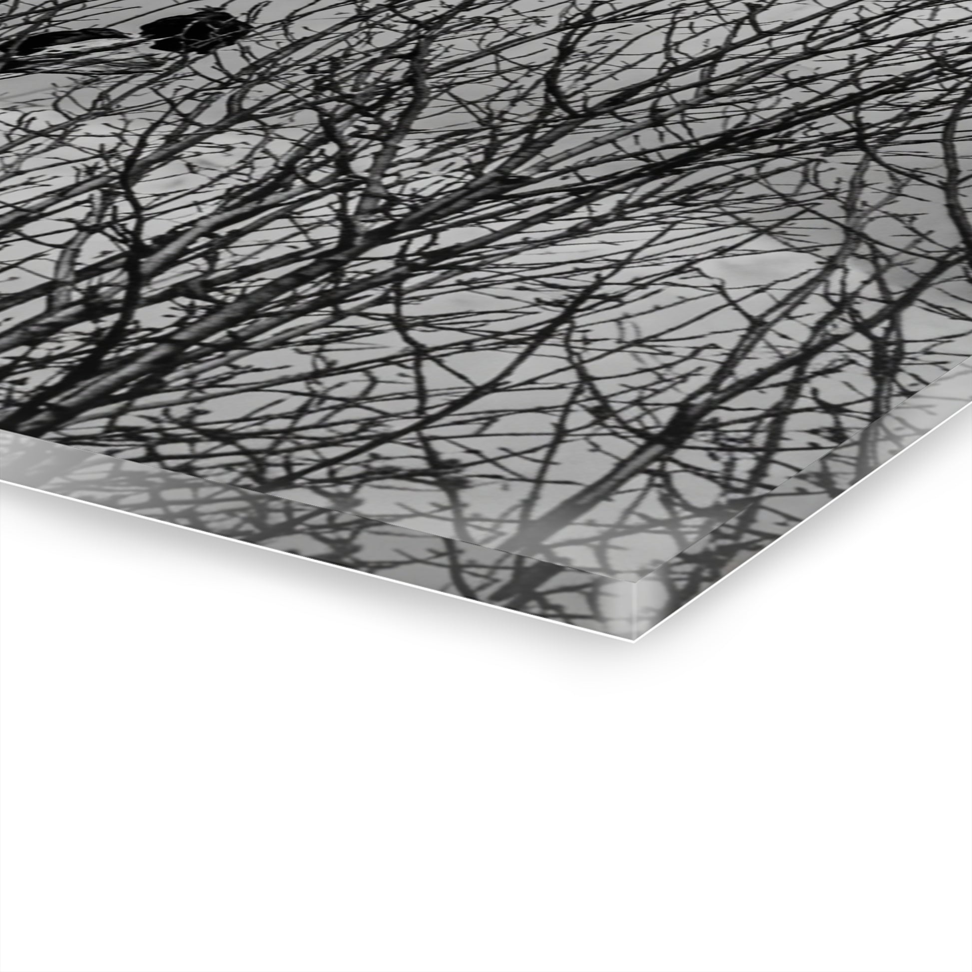 Black & White Buzzards in Winter Trees French Cleat Hanging - - Home Decor