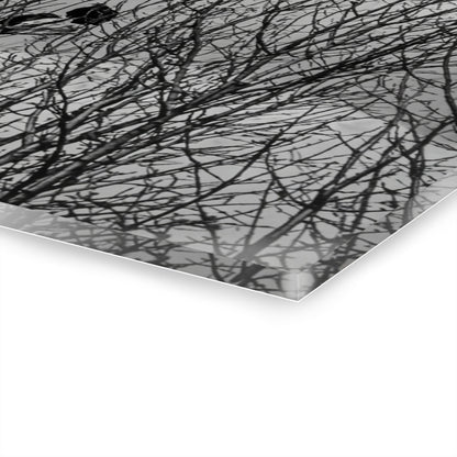 Black & White Buzzards in Winter Trees French Cleat Hanging - - Home Decor