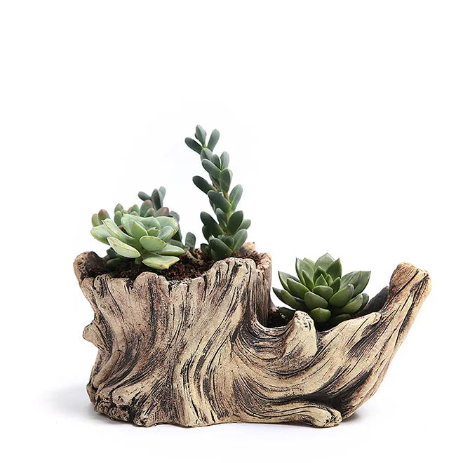 Driftwood Planter Wood Vintage Plant Container Cement Flower Pot