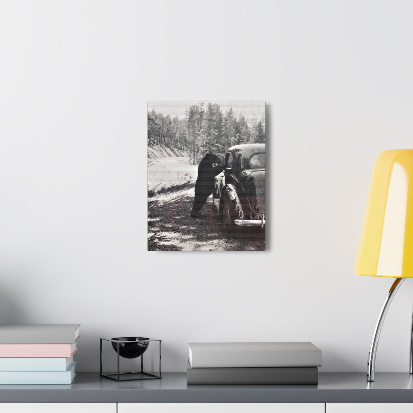 Yellowstone Bear Car Canvas Gallery Wraps 11″ x 14″ 1.25"
