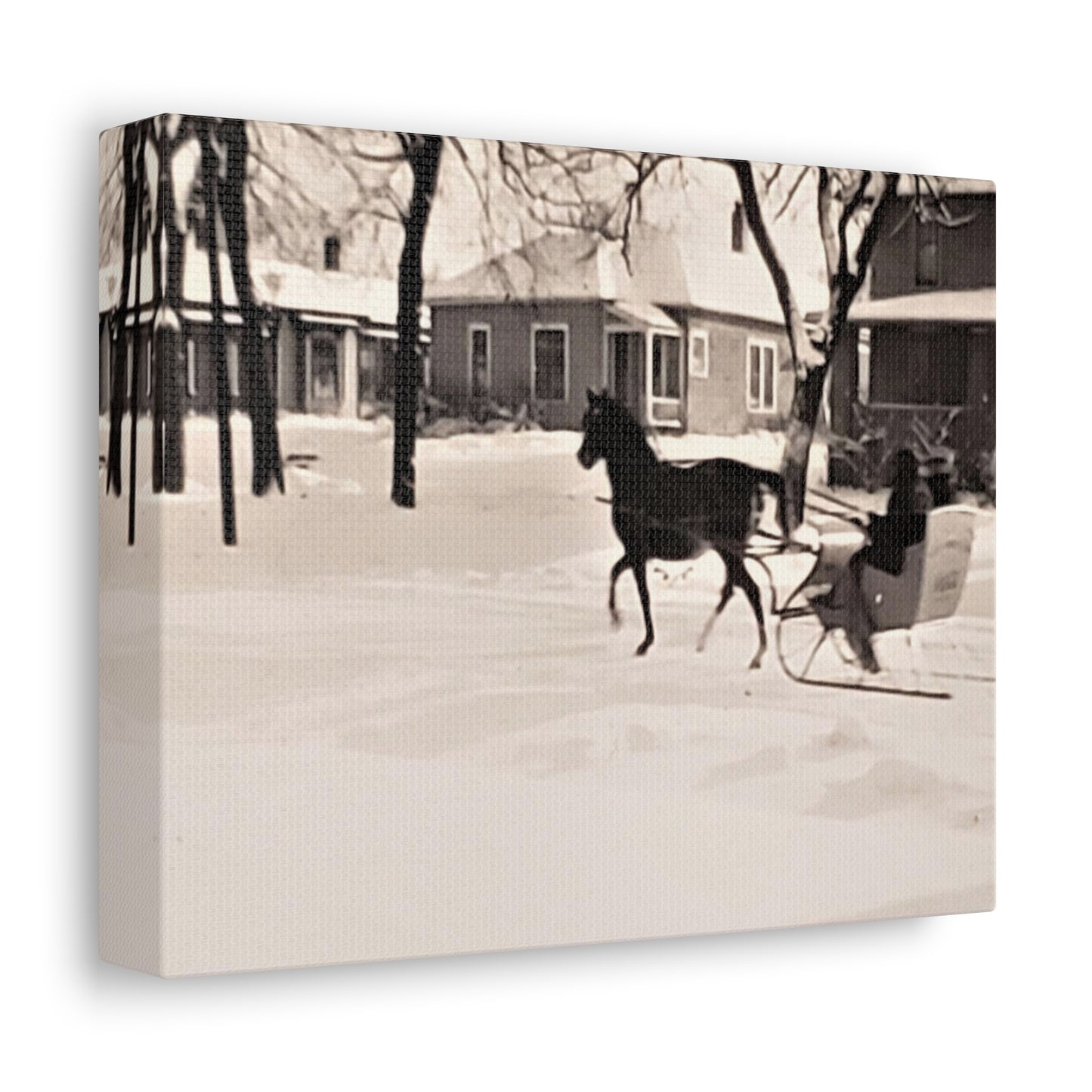 Carriage Ride Stretched Canvas