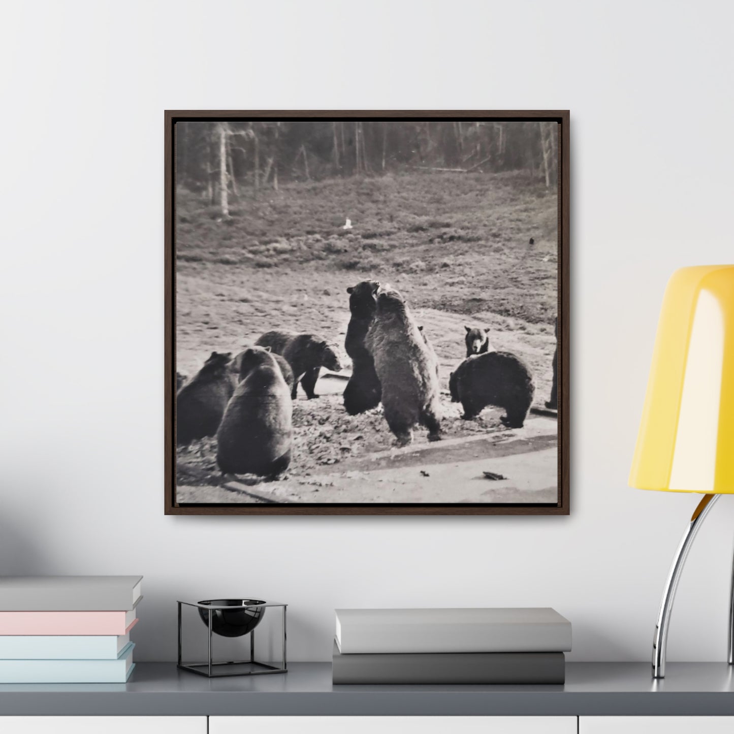 Yellowstone Grizzly Bears Gallery Canvas Wraps, Square Frame