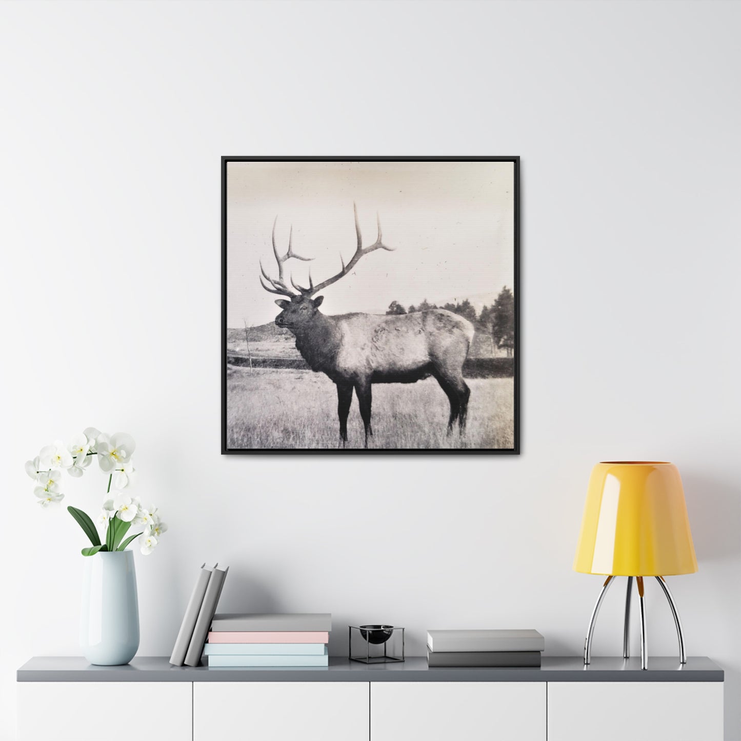 Yellowstone Bull Elk Gallery Canvas Wraps, Square Frame