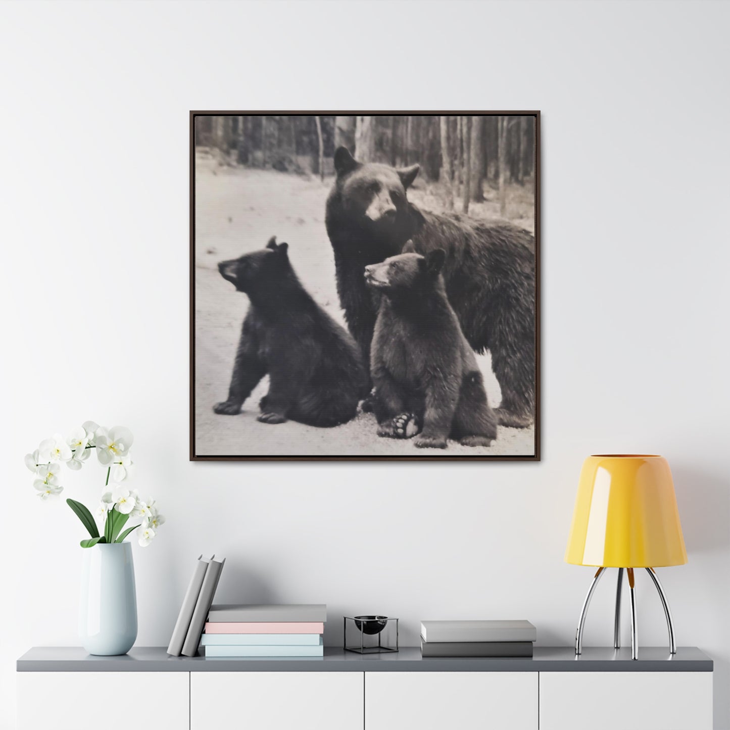 Yellowstone Black Bears Gallery Canvas Wraps, Square Frame