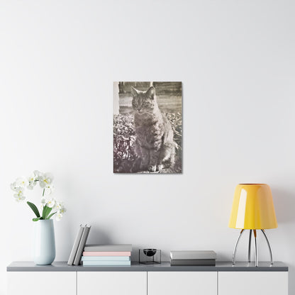 Caledonia Stretched Canvas 1.5" 18″ x 24″