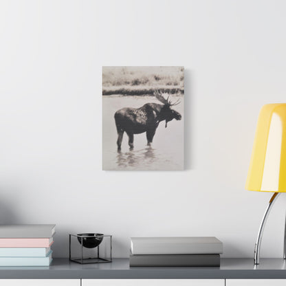 Yellowstone Bull Moose Satin Canvas Stretched 11″ x 14″ (Vertical) 1.5"