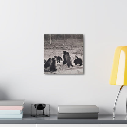 Yellowstone Grizzly Bears Canvas Gallery Wraps 12″ x 12″ 1.25"