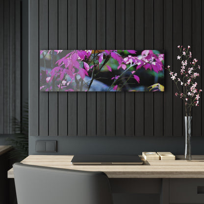 Fall Red Acrylic Prints 36" x 12" (Horizontal) Glossy