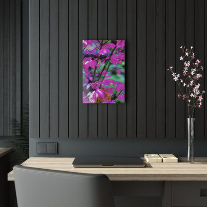 Fall Red Acrylic Prints 12″ x 18″ (Vertical) Glossy