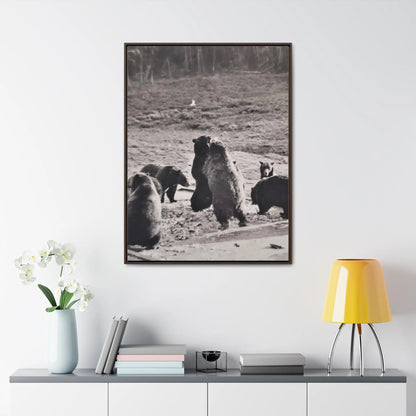 Yellowstone Grizzly Bears Gallery Canvas Wraps 30″ x 40″ Premium Gallery Wraps (1.25″) Walnut