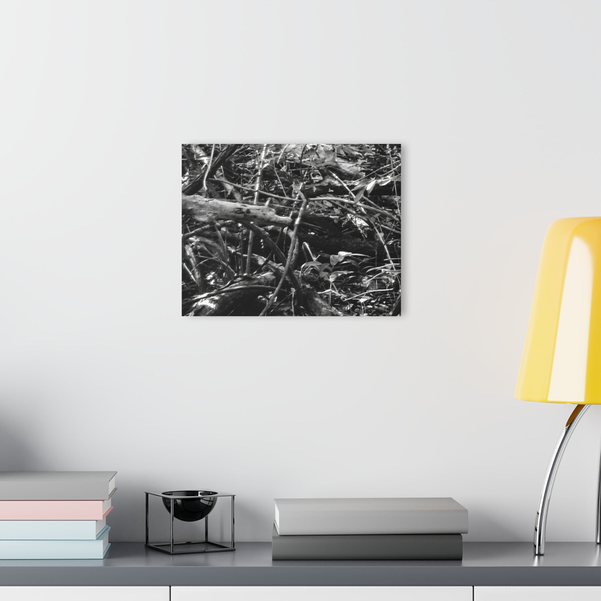 Black & White Deep Timber Path Acrylic Print French Cleat Hanging - - Home Decor