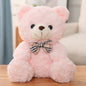 Cute Cartoon Little Teddy Bear Plush Toys Kia Day Design