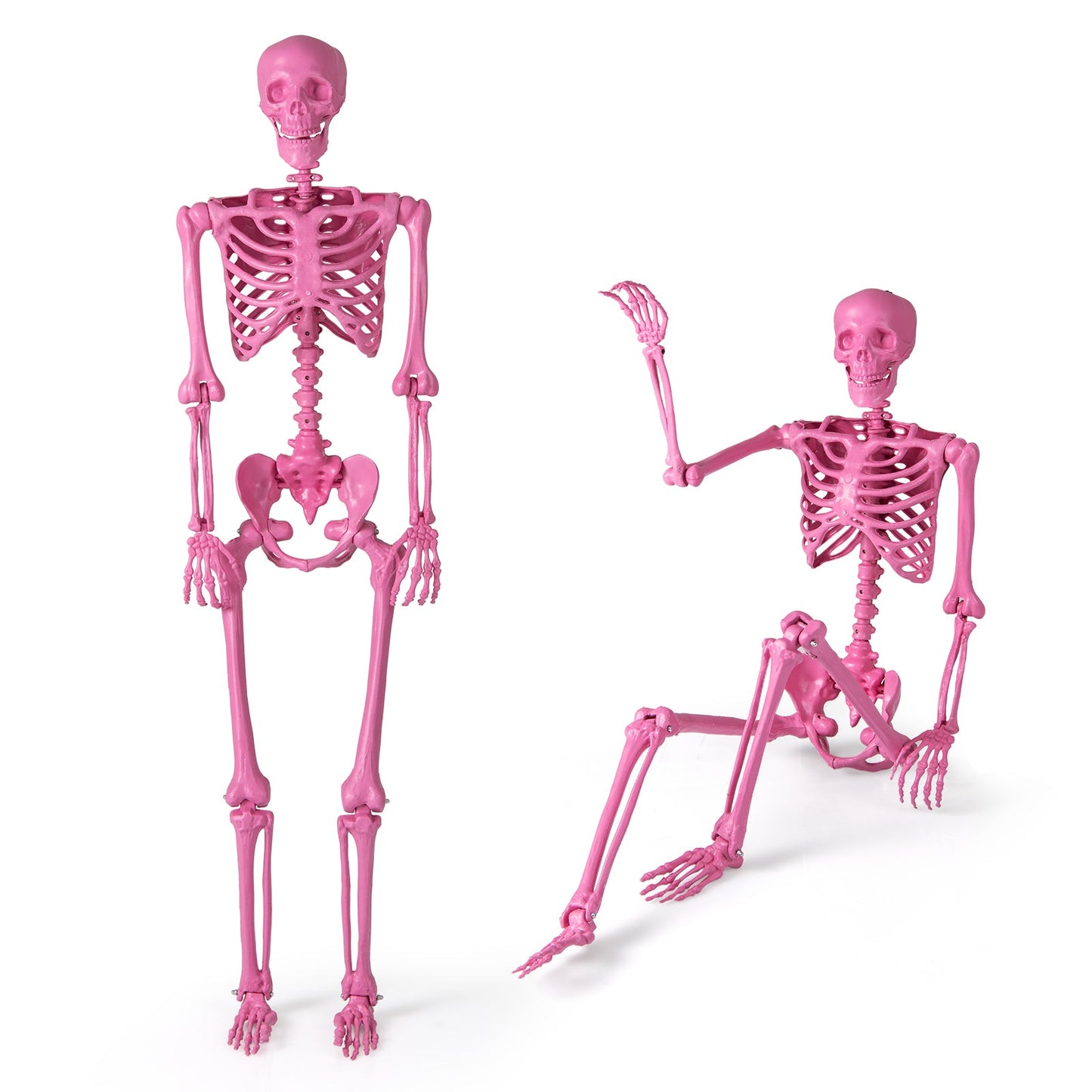 5.5 FT Life-Size Halloween Poseable Skeleton Pink Movable Joints - Default Title -