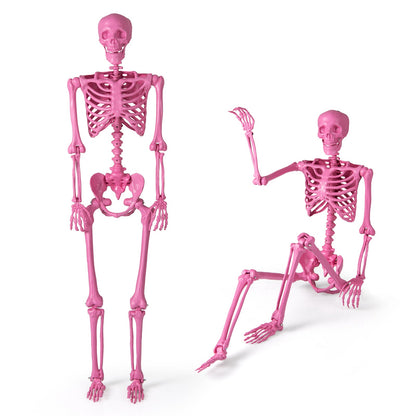 5.5 FT Life-Size Halloween Poseable Skeleton Pink Movable Joints - Default Title -