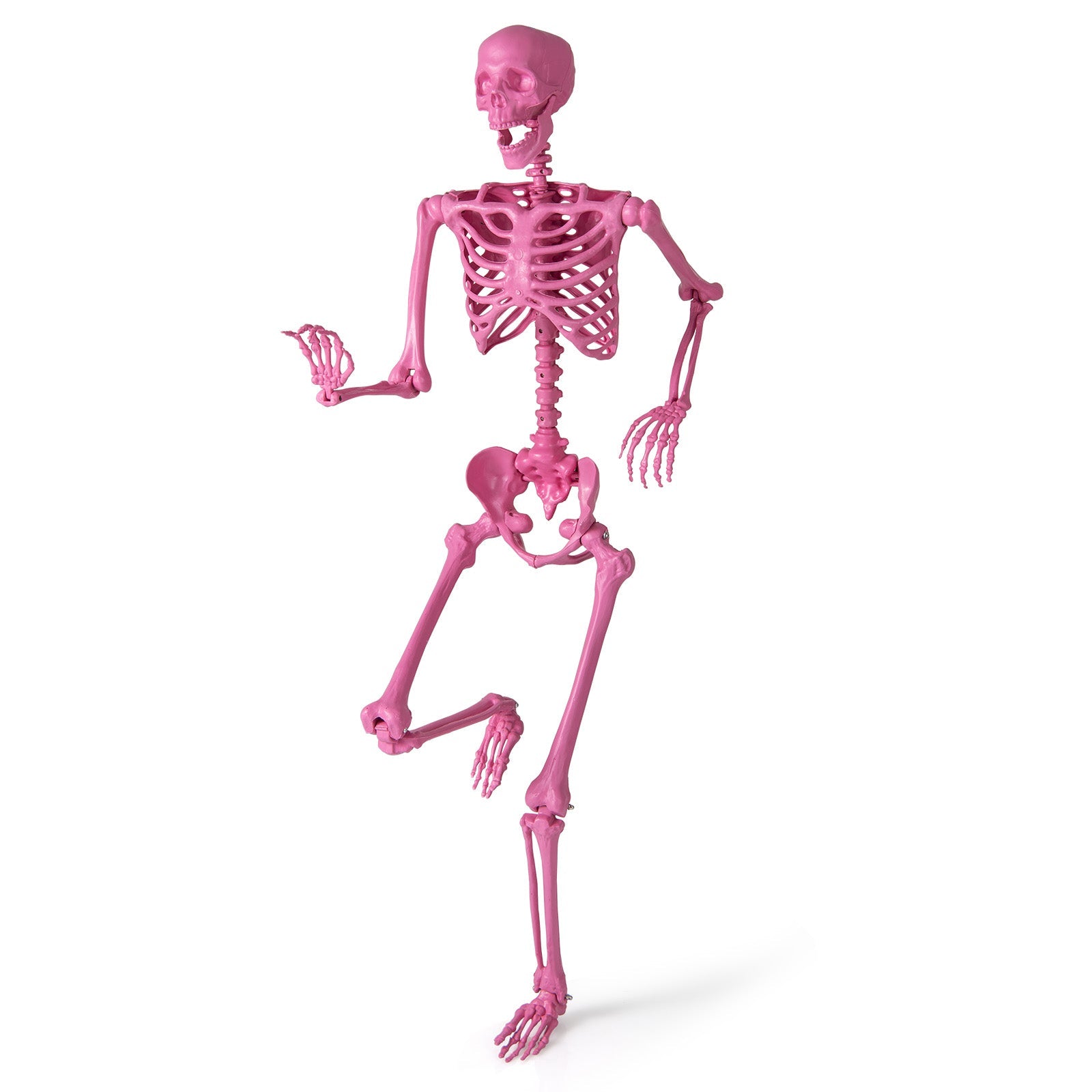 5.5 FT Life-Size Halloween Poseable Skeleton Pink Movable Joints - -