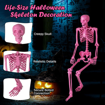 5.5 FT Life-Size Halloween Poseable Skeleton Pink Movable Joints - -