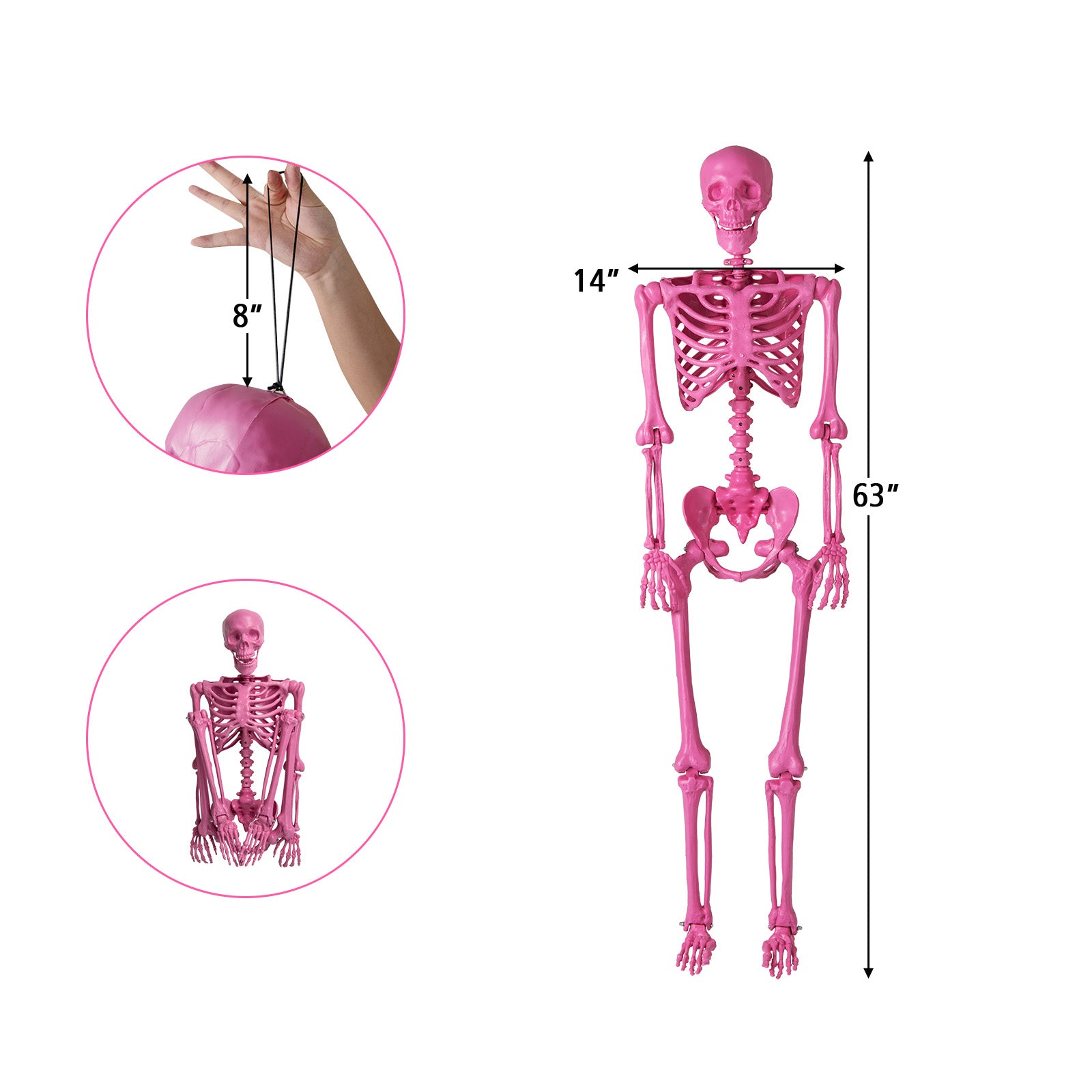 5.5 FT Life-Size Halloween Poseable Skeleton Pink Movable Joints - -