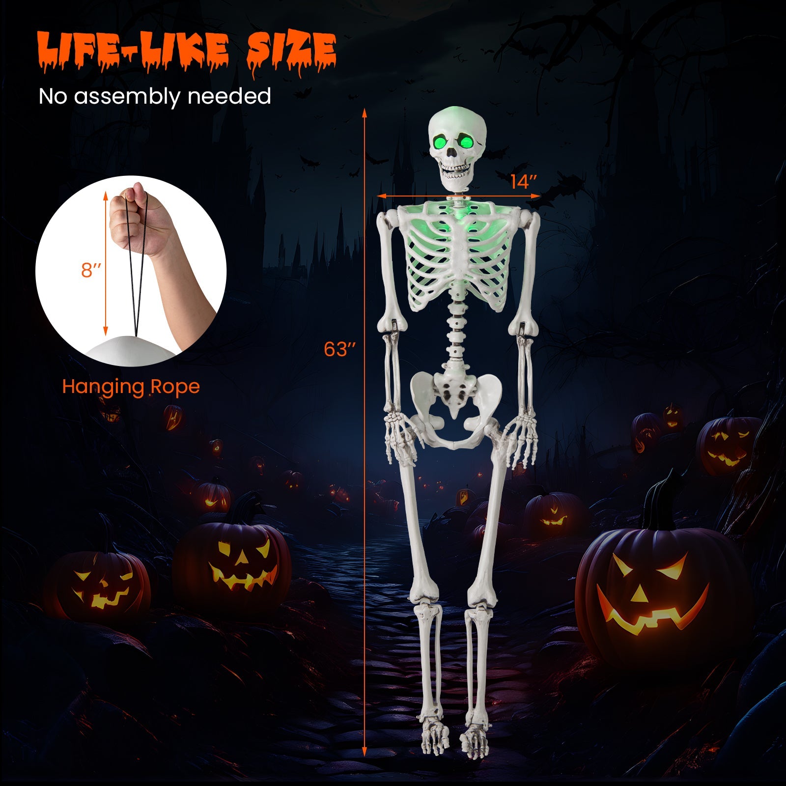 5.5 FT Halloween Skeleton Life-Size Posable for Indoor Outdoor Decoration - -