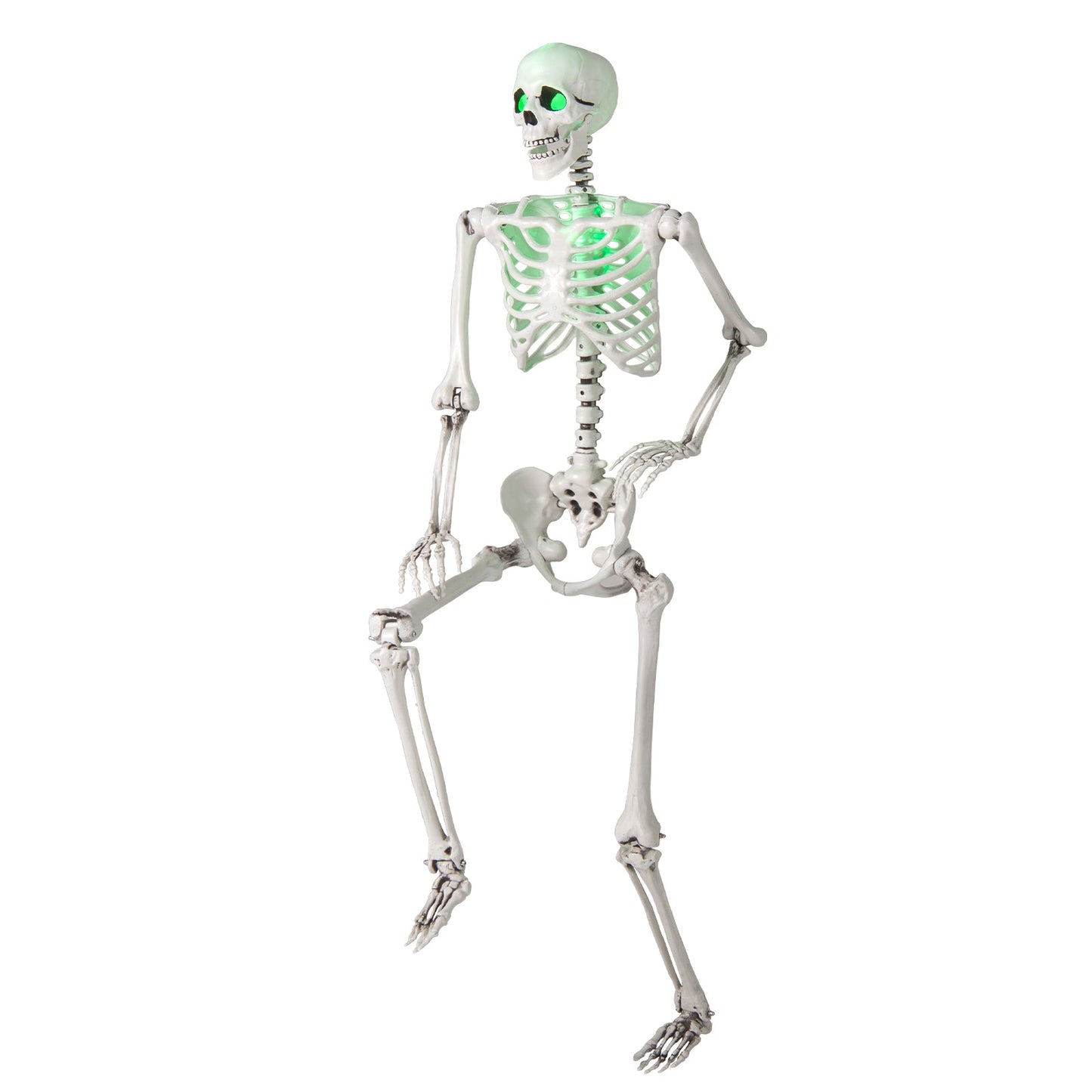 5.5 FT Halloween Skeleton Life-Size Posable for Indoor Outdoor Decoration - -