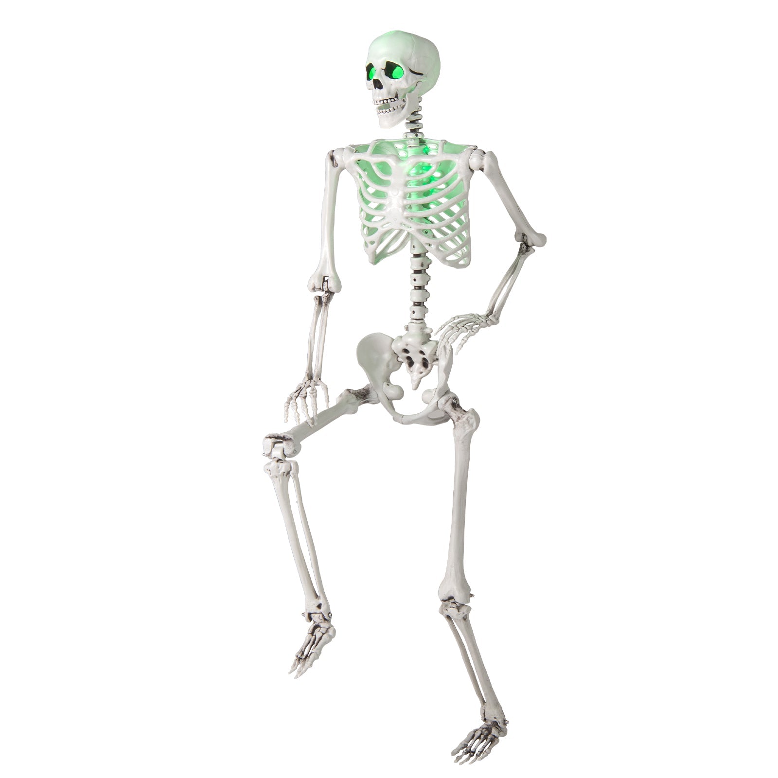 5.5 FT Halloween Skeleton Life-Size Posable for Indoor Outdoor Decoration - -