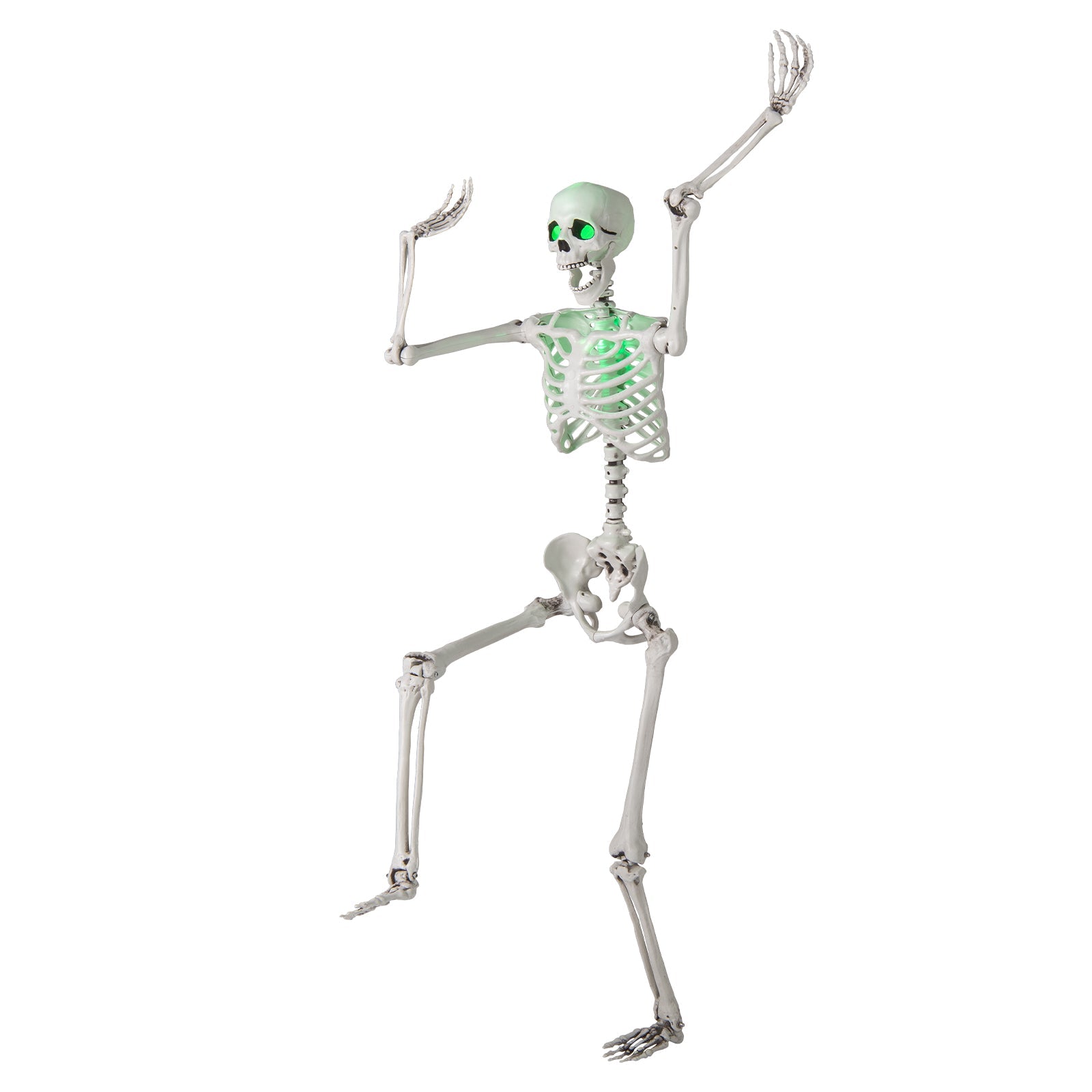 5.5 FT Halloween Skeleton Life-Size Posable for Indoor Outdoor Decoration - -