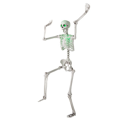5.5 FT Halloween Skeleton Life-Size Posable for Indoor Outdoor Decoration - -