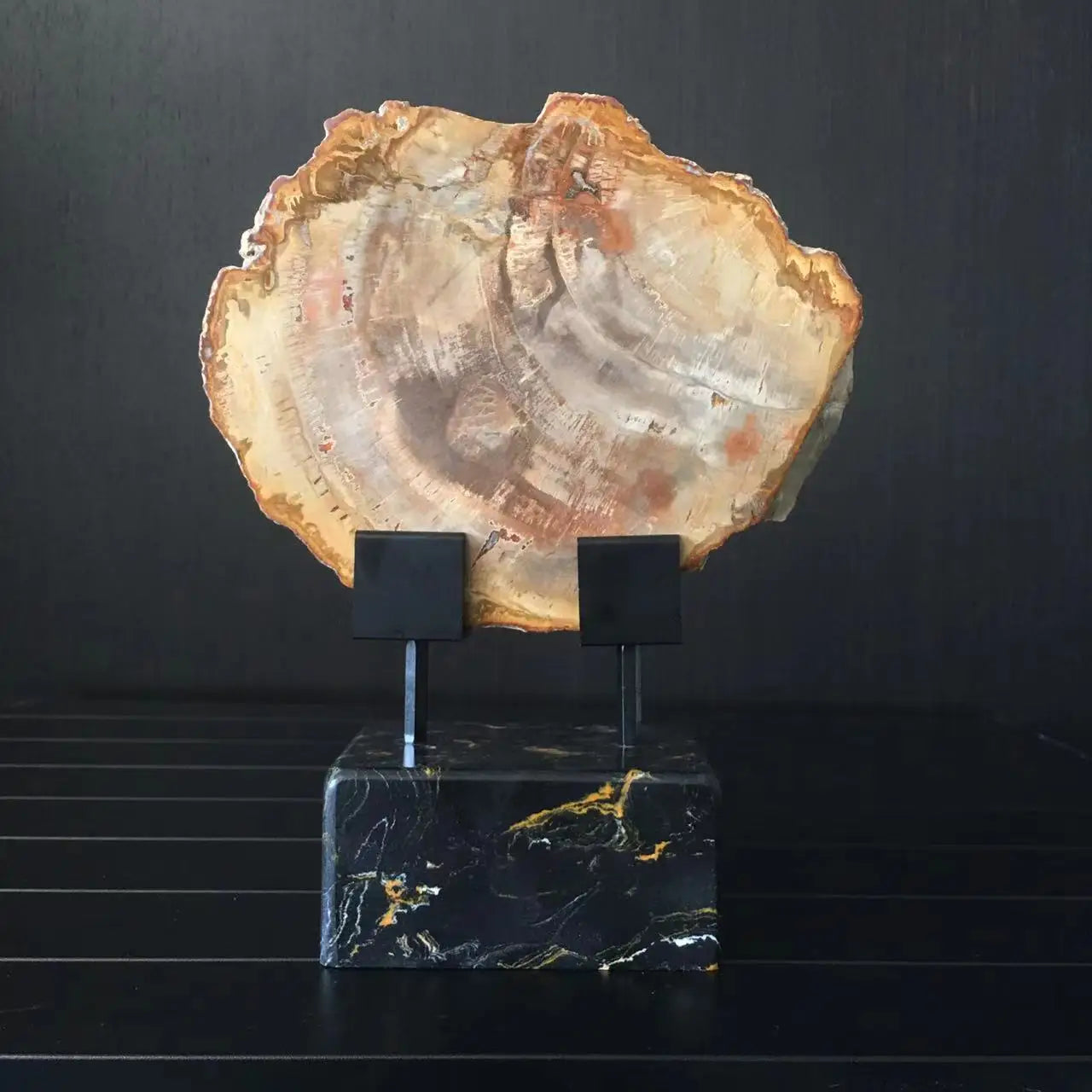 Natural Polished Wood Fossil Slab Rough Stone Slice, Petrified Wood Piece