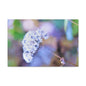 Macro Blue Canvas Gallery Wraps 18″ x 12″ 1.25"