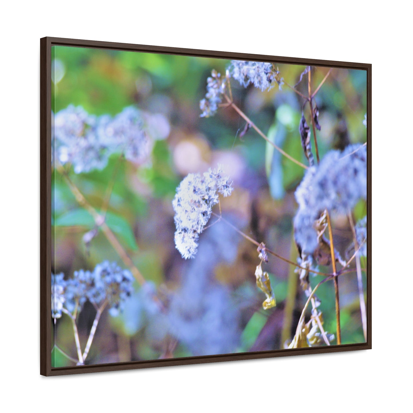 Macro Blue Gallery Canvas Wraps, Horizontal Frame