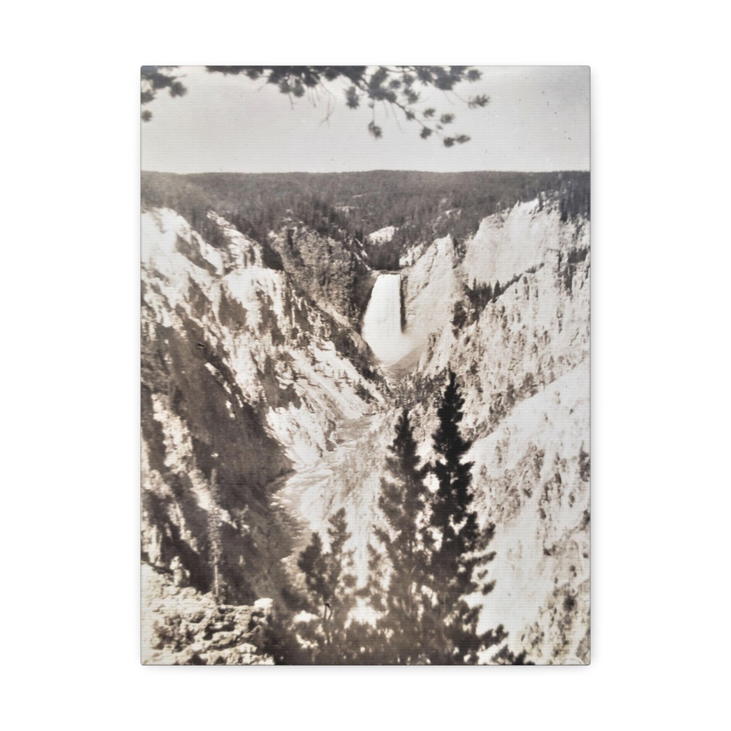 Artists Point Yellowstone Stretched Canvas