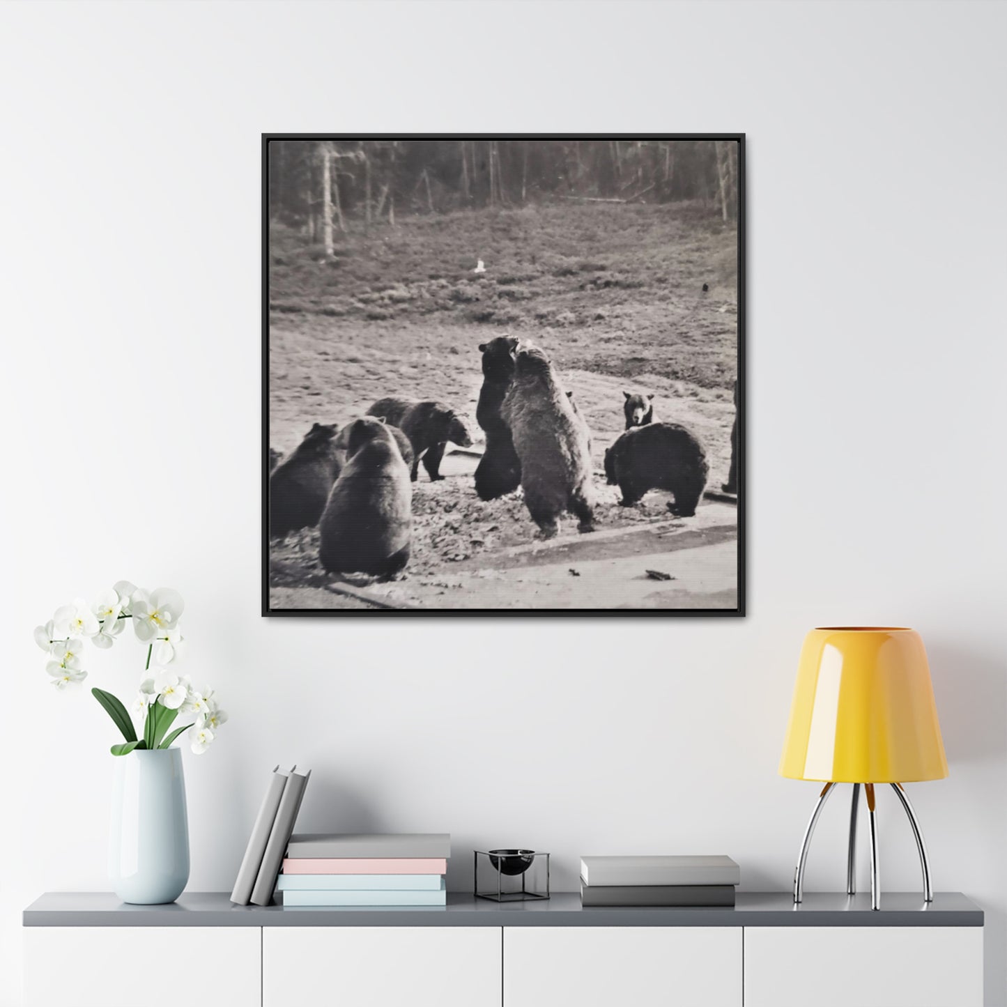 Yellowstone Grizzly Bears Gallery Canvas Wraps, Square Frame