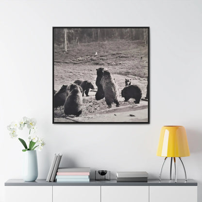 Yellowstone Grizzly Bears Gallery Canvas Wraps, Square Frame 36″ x 36″ 1.25" Black