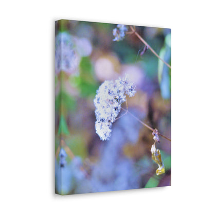 Macro Blue Canvas Gallery Wraps