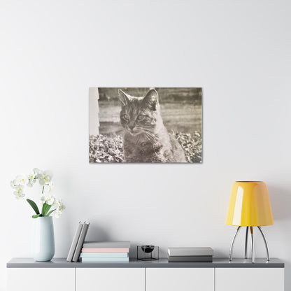 Caledonia Canvas Gallery Wraps 30" x 20" 1.25"