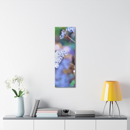 Macro Blue Canvas Gallery Wraps