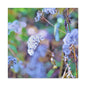 Macro Blue Canvas Gallery Wraps 24″ x 24″ 1.25"