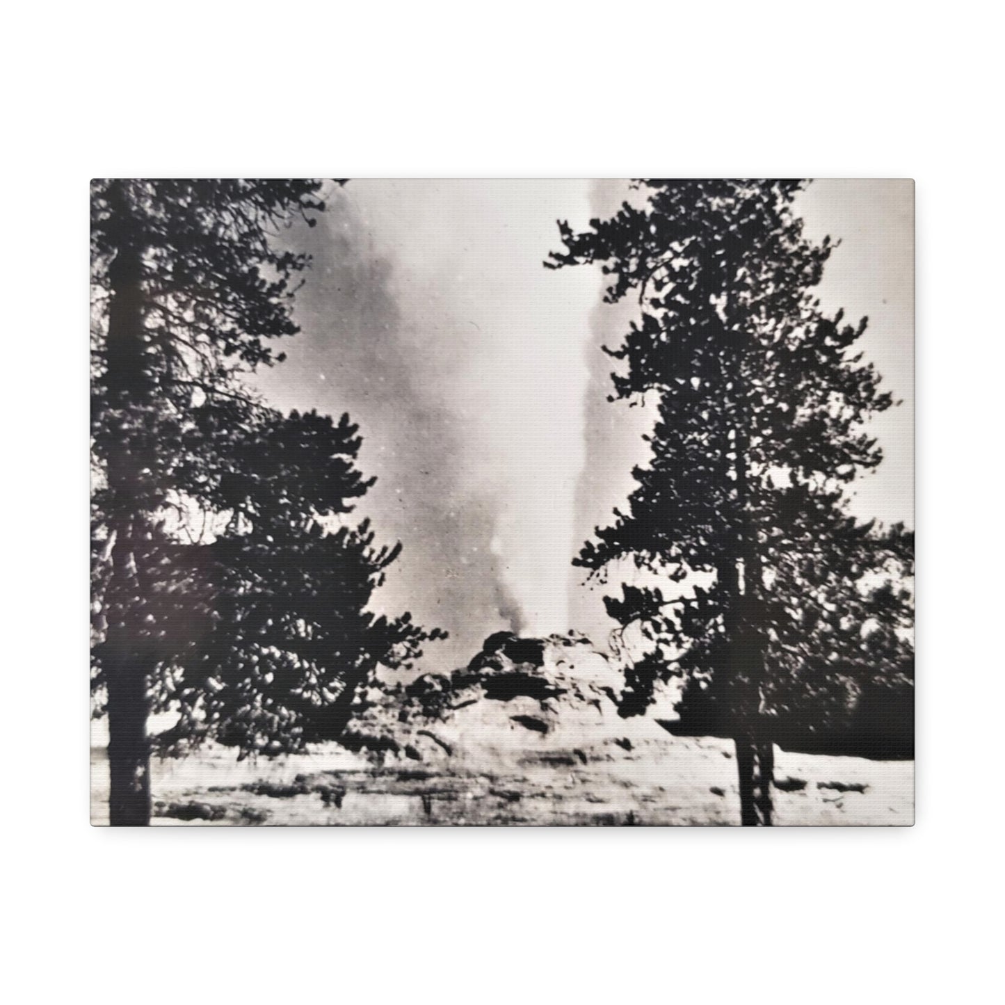 Castle Geyser Yellowstone Stretched Canvas