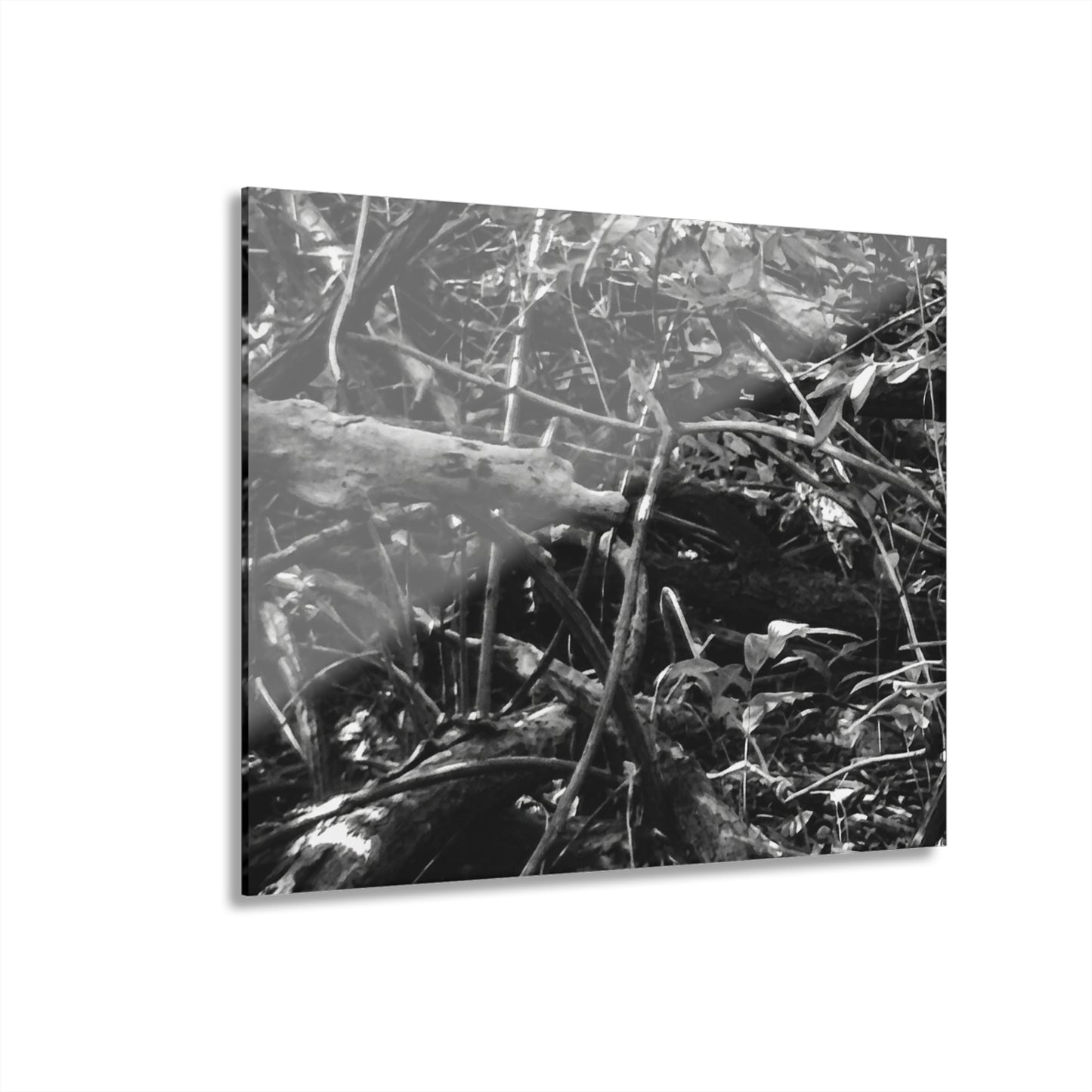 Black & White Deep Timber Path Acrylic Print French Cleat Hanging - 14″ x 11″ (Horizontal) 0.25'' - Home Decor