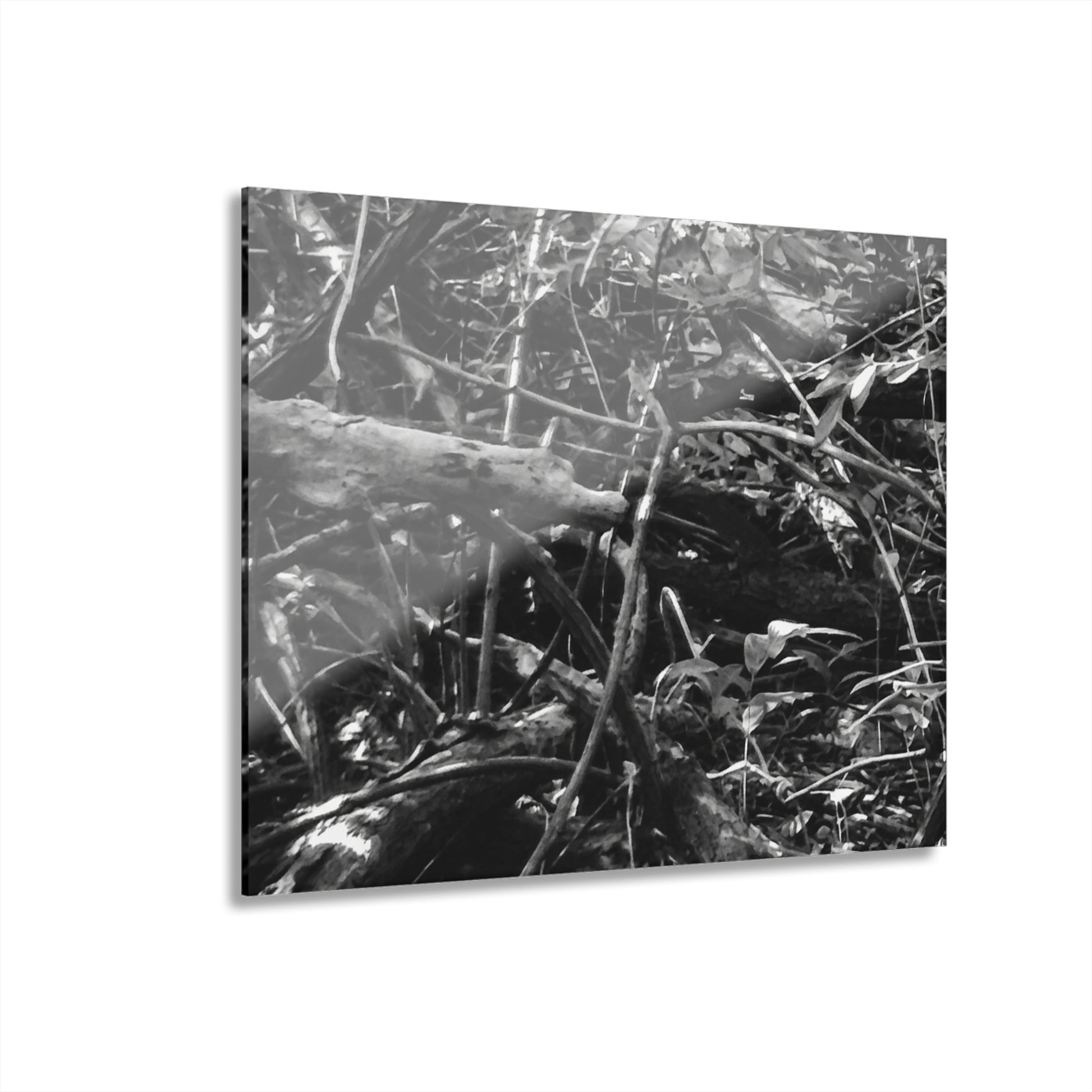 Black & White Deep Timber Path Acrylic Print French Cleat Hanging - 14″ x 11″ (Horizontal) 0.25'' - Home Decor