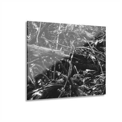 Black & White Deep Timber Path Acrylic Print French Cleat Hanging - 14″ x 11″ (Horizontal) 0.25'' - Home Decor