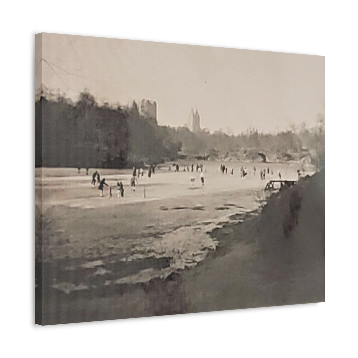 Central Park Stretched Canvas