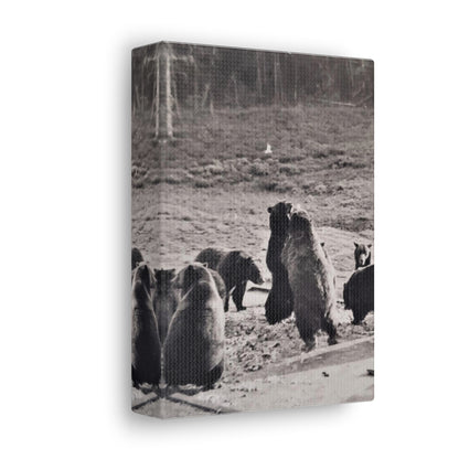 Yellowstone Grizzly Bears Canvas Gallery Wraps