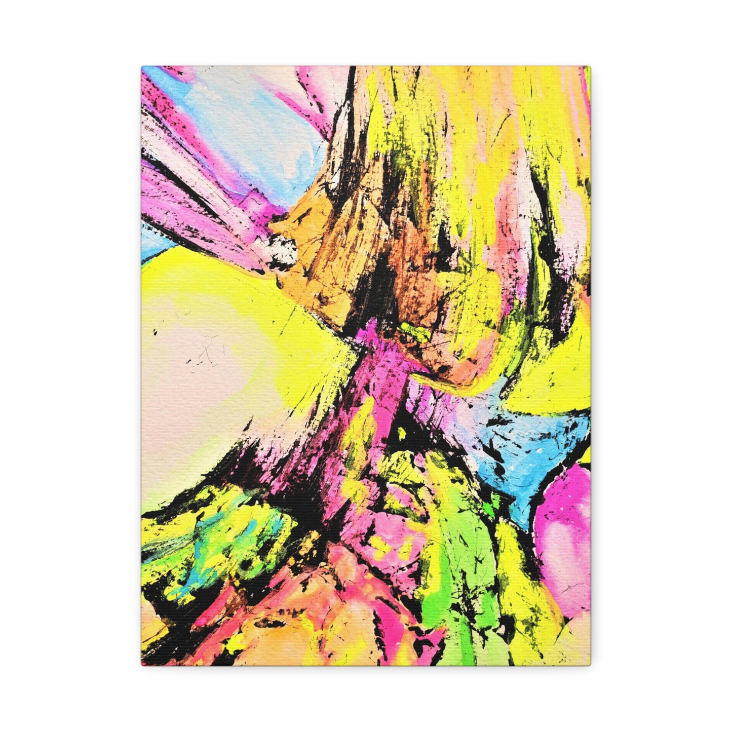 Fairies Delight Stretched Canvas