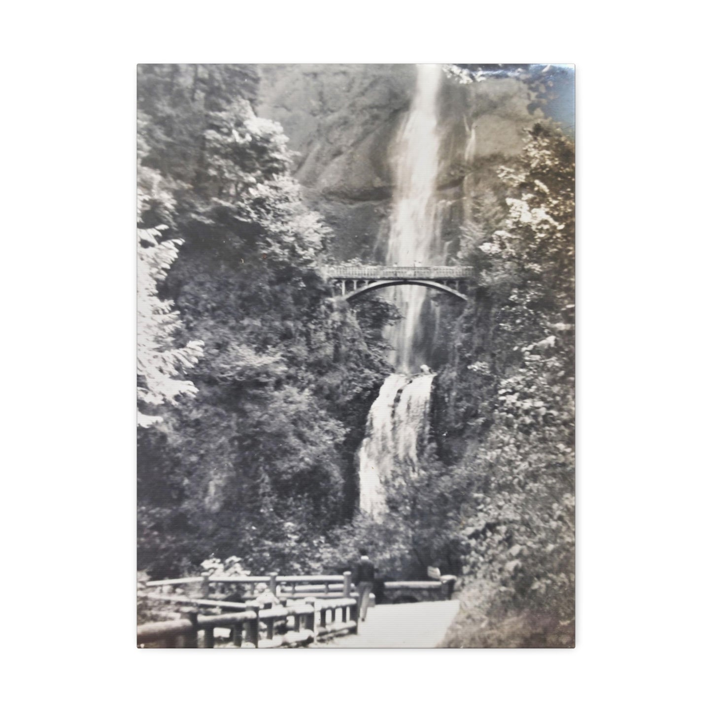 Multnomah Falls Oregon Stretched Canvas