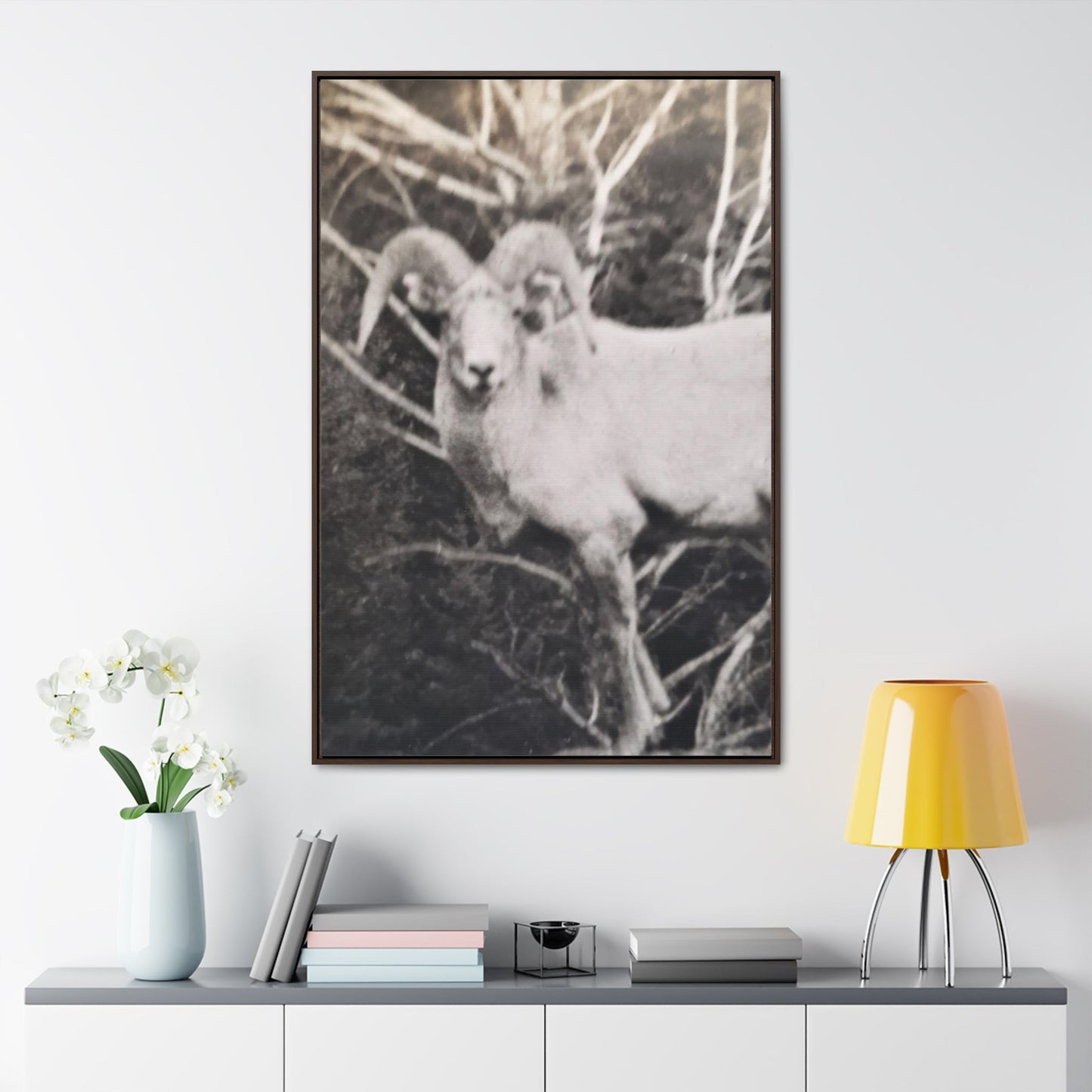 Yellowstone Big Horn Sheep Gallery Canvas Wraps Vertical Frame 32″ x 48″ Premium Gallery Wraps (1.25″) Walnut