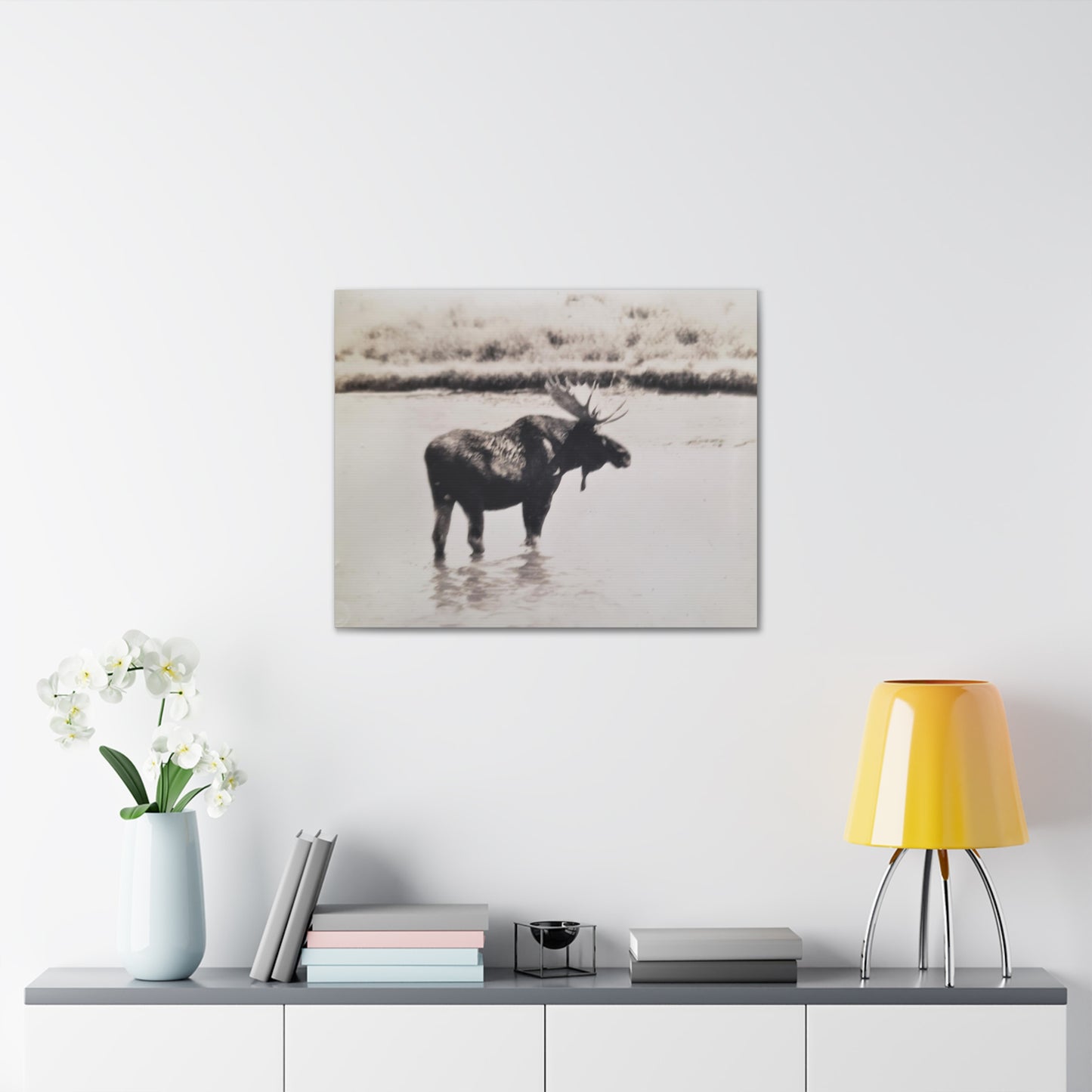 Yellowstone Bull Moose Canvas Gallery Wraps