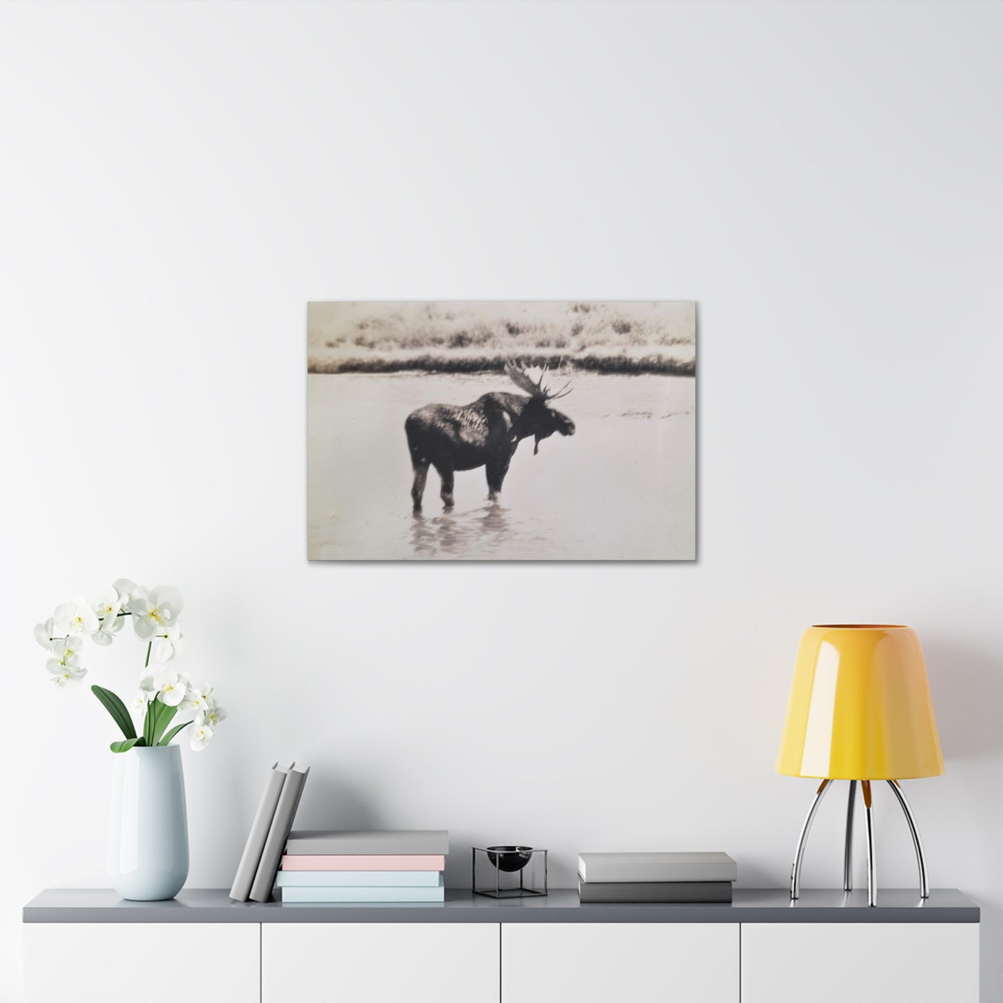 Yellowstone Bull Moose Canvas Gallery Wraps